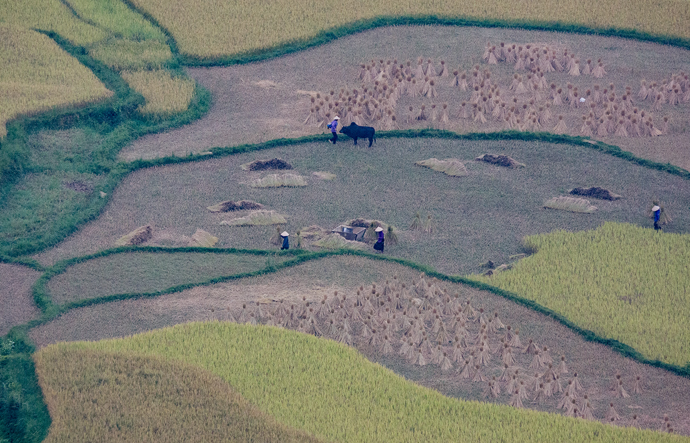 Ha Chiang   Lung Cu   053